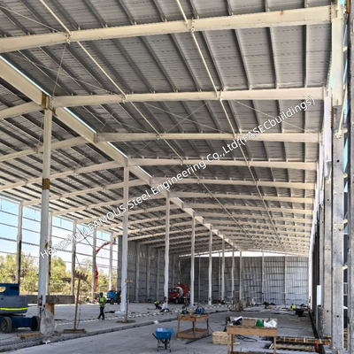 American Standard Cold Storage Warehouse with Steel Framing and Insulated Panels